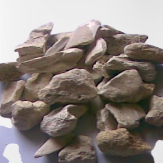 Degelatinised Bone Pieces